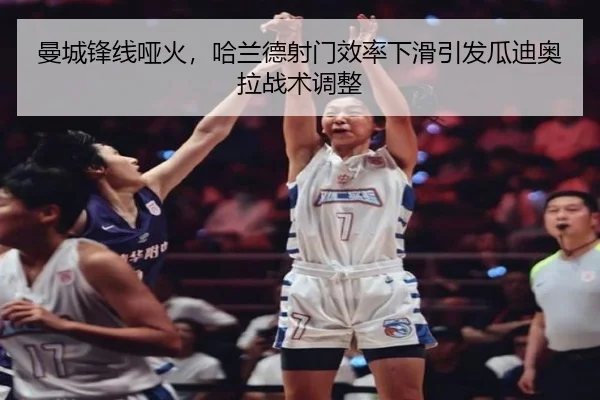 man-cheng-feng-xian-ya-huo-ha-lan-de-she-men-xiao-lv-xia-hua-yin-fa-gua-di-ao-la-zhan-shu-tiao-zheng-2-162.jpg