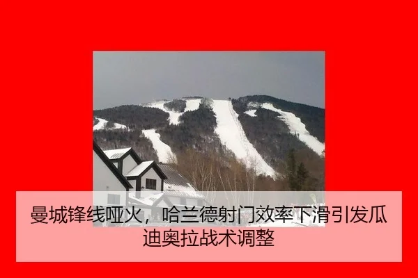 man-cheng-feng-xian-ya-huo-ha-lan-de-she-men-xiao-lv-xia-hua-yin-fa-gua-di-ao-la-zhan-shu-tiao-zheng-3-160.jpg