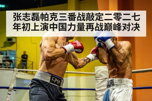 heavyweight boxer punch