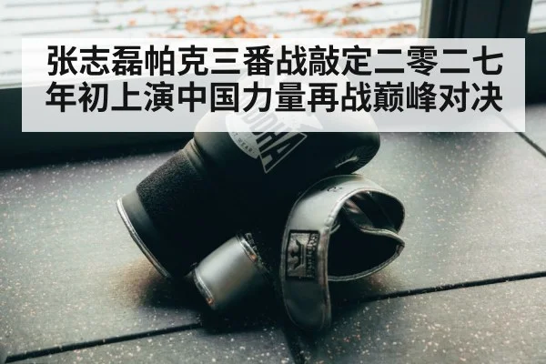boxing training gloves