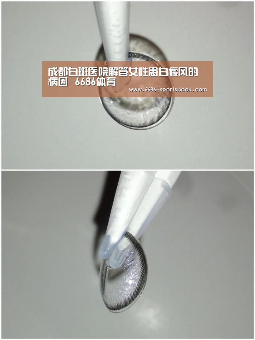 6686比分
